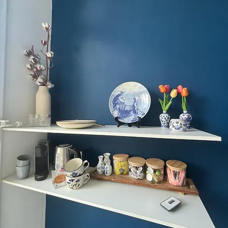 Lovely Small In 'de Pijp' 3*